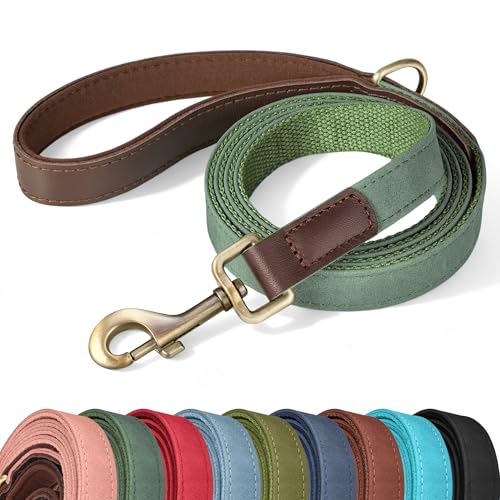 PU Leather Dog Leash for Medium Dogs (Green / 3/4''x 5FT)