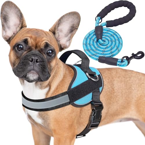Essential Dog Harness (S / Blue)