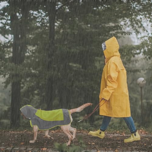 Hooded Dog Raincoat (2X-Large / Green)