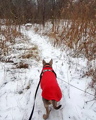 Stretch Fleece Vest Dog Sweater (6X-Large Length (27.5") / Red)