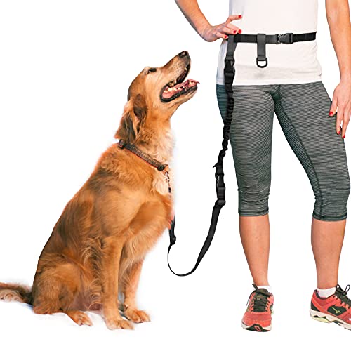 Hands Free Dog Leash & Lunge Set (Regular Dog System (Regular Belt (22"- 40" Waist)) / Bundle Leash + Lunge Buster)