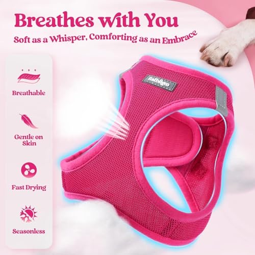 Dog Harness Medium Sized and Leash Set (Rose Red / M (chest: 16 - 18.5"))