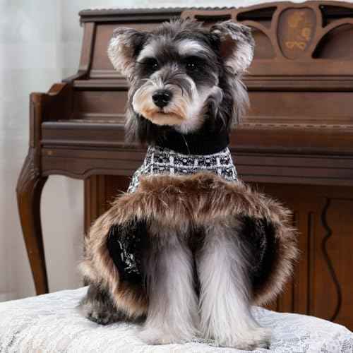Dog Christmas Sweater Cloak (Medium(Back Length 12") / Christmas Forest Green)