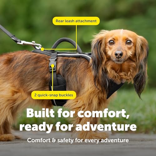 EasySport Dog Harness (Extra Small / Black)