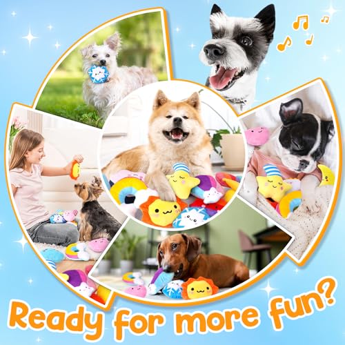 Weather Themed 20 (Weather-Themed Squeaky Toys)
