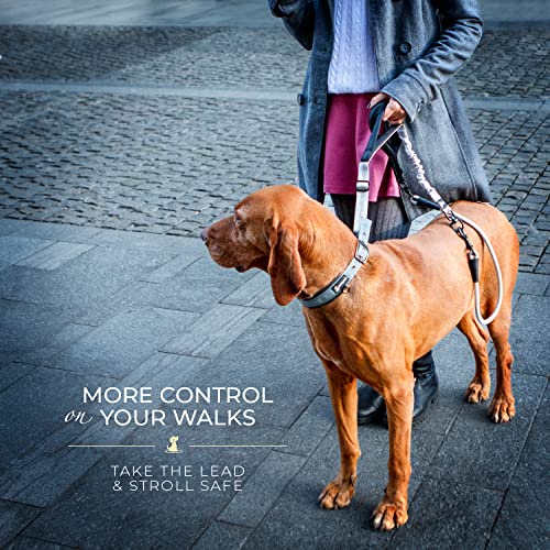 Heavy Duty Bungee Rope Leash (Adjustable Premium Silver)