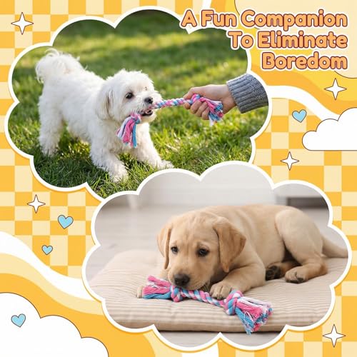 60 Pcs Dog Toys Bulk Chew Ropes Dental Cotton Teething 2 Knot Tug of War Toy for Small and Medium Dogs Puppies