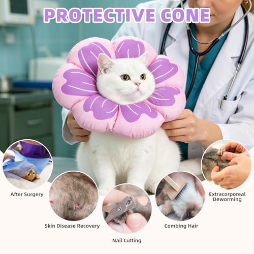 Cat Cone Collar (Purple / M - Neck Up to 10.5")