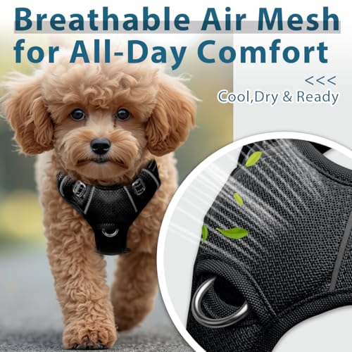 Dog Harness No Pull with ID Tag Pocket (Small(Chest:19.5-26”) / Black)