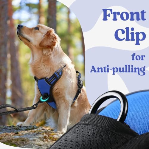 Dog Harness Medium Sized (Medium / Blue)