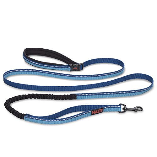 Active Dog Leash (Large / Blue)