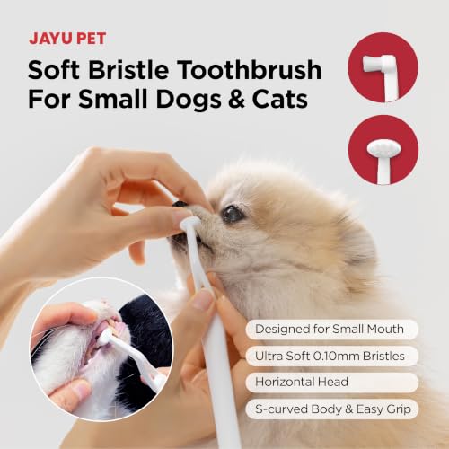 Dental Care Brush Soft Bristles 3ea (Soft Bristles / 1 Count (Pack of 3))