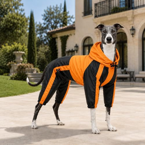 Welsh Corgi Dog Hooded Raincoat (D-L (for Corgi) / Orange)