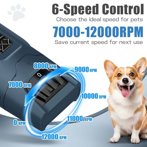 6 Speed Dog Nail Grinder with Guard (Blue)