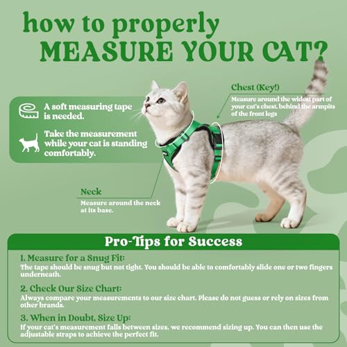 Cat Harness and Leash Set (M / Grass Green)