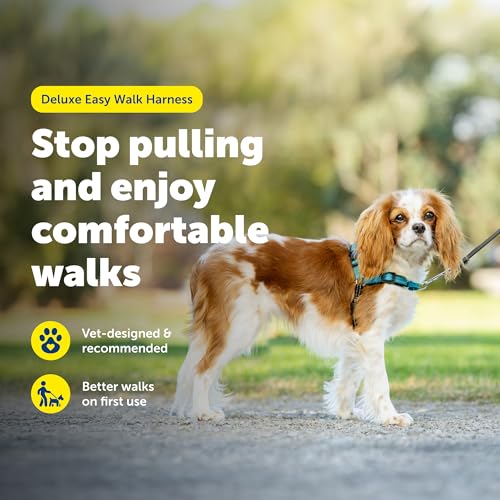 Deluxe Easy Walk Harness (Small / Ocean)