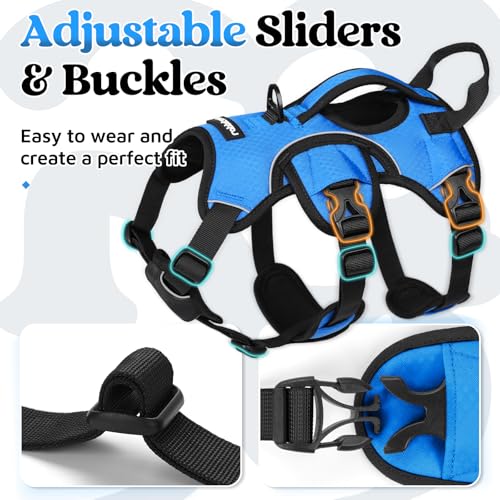 Escape Proof Dog Harness for Small (Blue / Small)