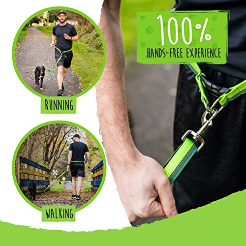 Hands Free Dog Leash (48" / Green)