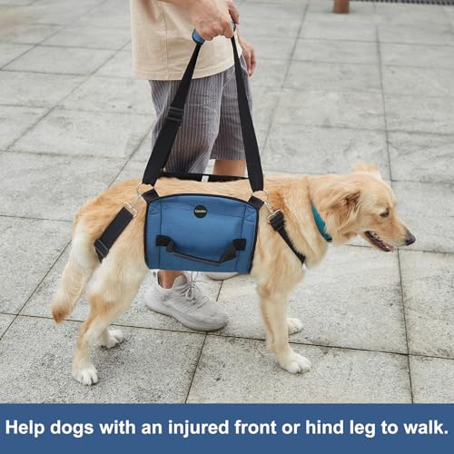Dog Carry Sling (XX-Large / Blue)