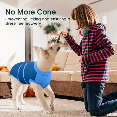 Dog Recovery Suit (Blue / Large)