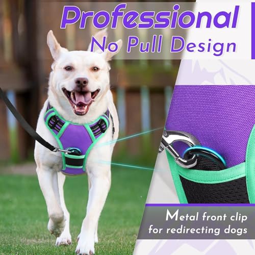 Dog Harness for Small Dogs (Small / Purple & Turquoise)
