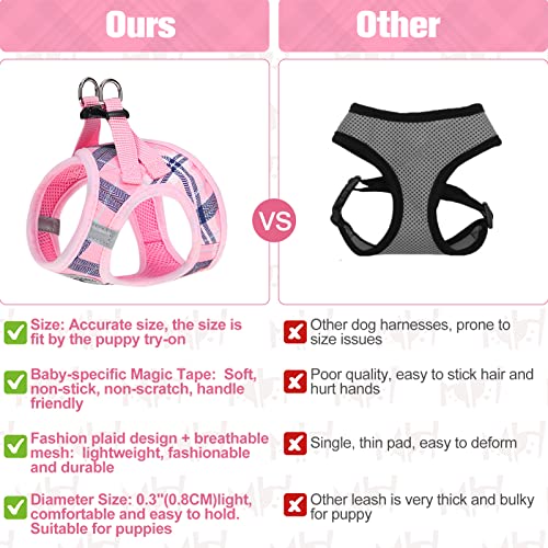 Large Dog Harness and Leash Set (Large(Chest Girth 18" - 21") / Pink)