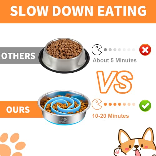 2-in-1 Metal Dog Bowl with Slow Feeder Insert, Stainless Steel Dog Bowls Food Grade 304, Water Food Bowl with Anti-Slip Silicone Base for Small, Medium, Large Dogs (1 Cup / Light blue)