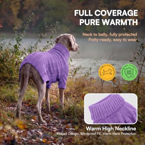 XSmall Dog Sweater (X-Small / Purple)
