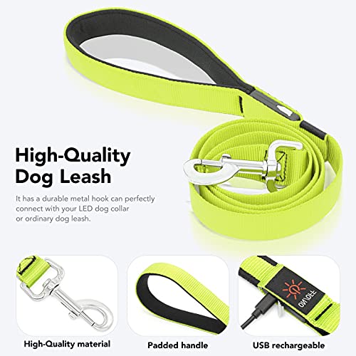 LED Light Up Dog Leash (Green / 4FT)