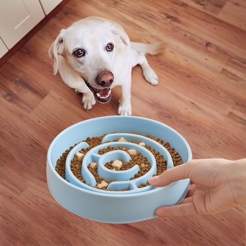 Ceramic Slow Feeder Dog Bowl (Blue)