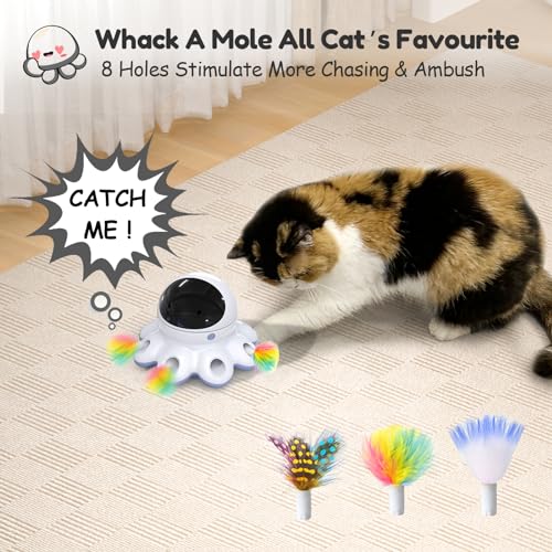 Cat Laser Toy (Periwinkle*1)