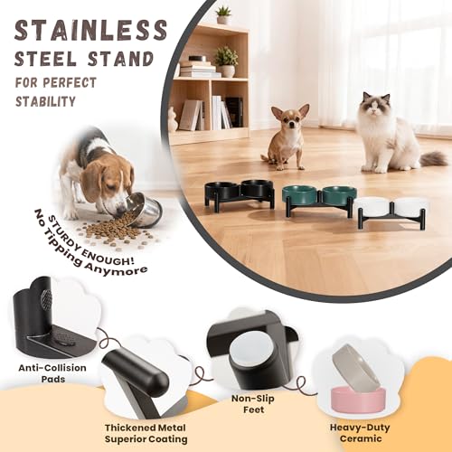 Raised Ceramic Dog Bowl Set with Stand (White / 2 Bowls - 1.6 Cups Each)