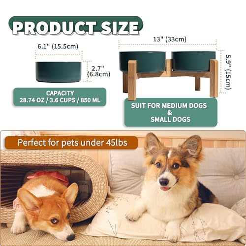 Elevated Ceramic Dog Bowl (Green / Medium)