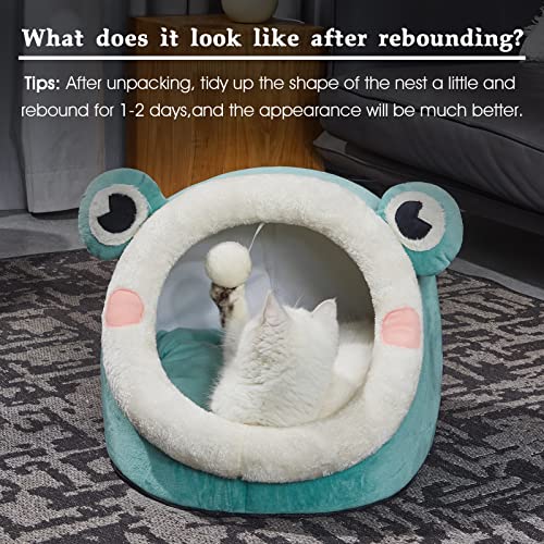 Cute Cat Bed Indoor Lovely Velvet Igloo for Cat and Small Dog (Medium / Green Frog)