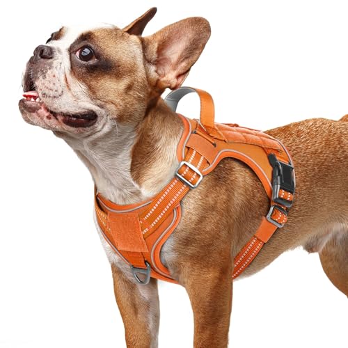 Tactical Dog Harness for Small Dogs (S(Chest:16.1"-31.5",Neck:15.4"-21.6",Back:7.1") / Orange)