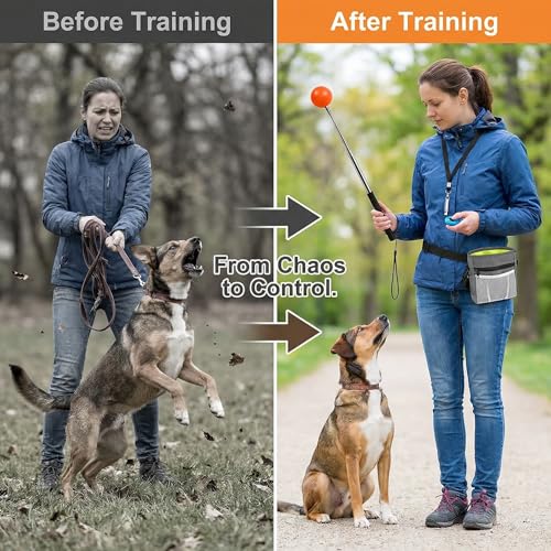 Pet Training Kit