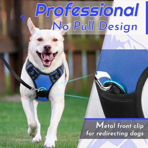 Dog Harness for Large Dogs (X-large / Blue)