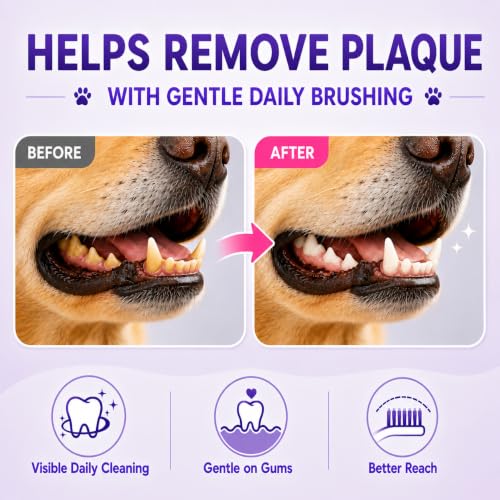 Dog Toothbrush (Pink / 1 Count (Pack of 1))