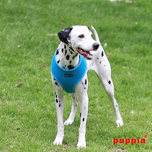 Soft Dog Harness No Choke Over (Sky Blue / XX-Large)