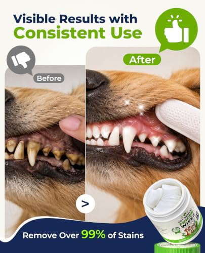 Dog Dental Wipes for Teeth Cleaning (60 PCS)