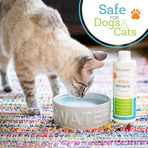 Premium Pet Dental Care Solution Pet Water Additive (Vet Choice Gallon)