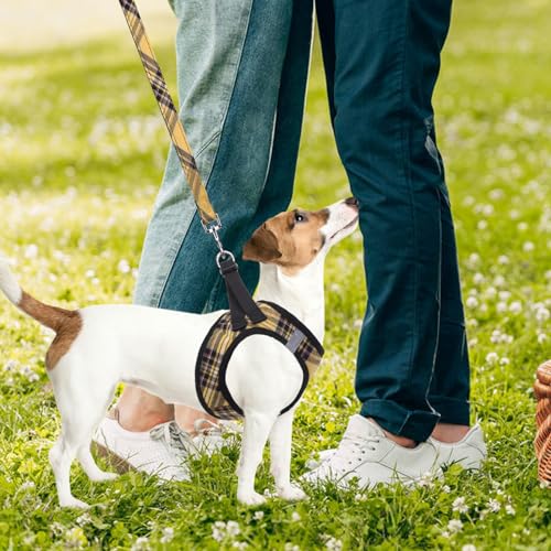 Dog Harness Collar and Leash Set No Pull for Small Medium Sized (Yellow / L (CHEST 18"-20"))