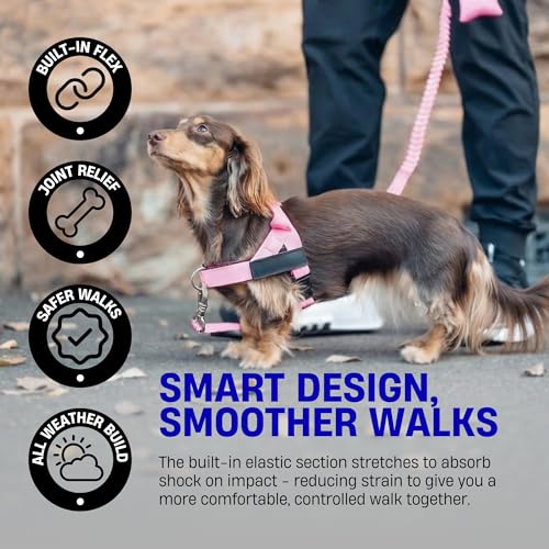 Bungee Dog Leash Shock Absorbing (Black / Small)