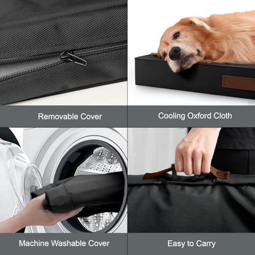 Outdoor Waterproof Orthopedic Dog Bed for Medium Size Dogs (Black / 35.0"L x 22.0"W x 3.0"Th)