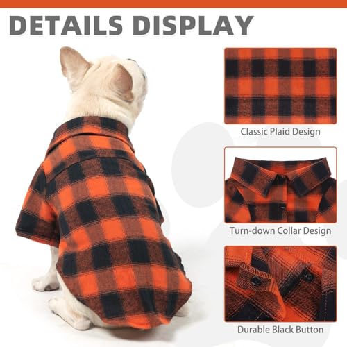 Fall Dog Shirt (Medium / Orange)