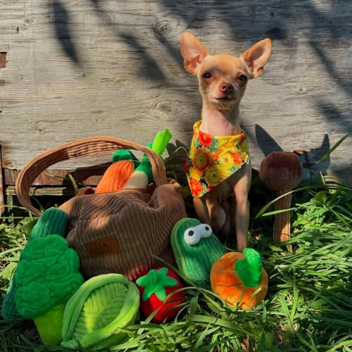 Squeaky Fruits Veggies Stuffed Dog Toys Pack (Fruit and Vegetables)