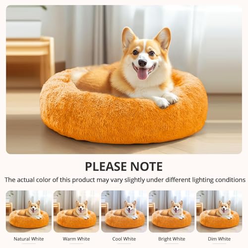 Calming Small Dog & Cat Bed for Indoor Cats (Orange / 20.0"L x 20.0"W x 6.0"Th)