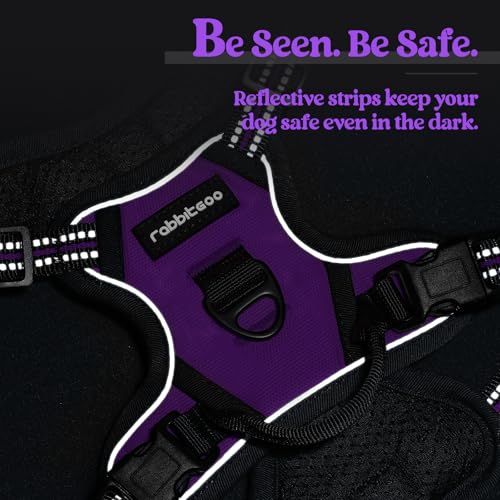 Dog Harness No Pull with 2 Leash Clips (X-Small / Purple)