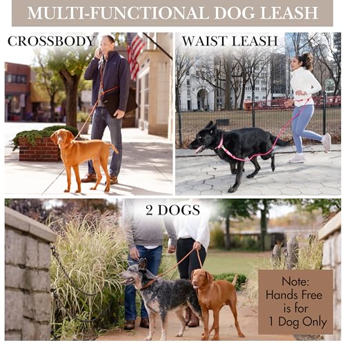Hands Free Dog Leash (Hunter Green / 8.2 ft x 3/8 in)