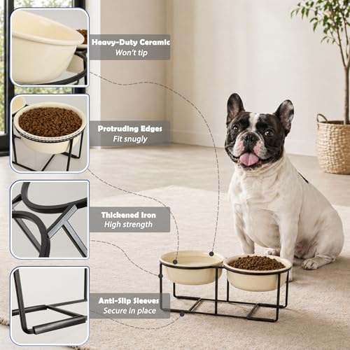 Elevated Ceramic Dog Bowl Set (Beige / L × 2)